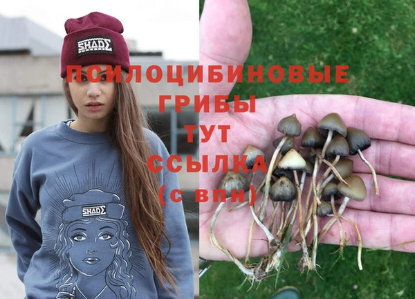 кокаин Алексин